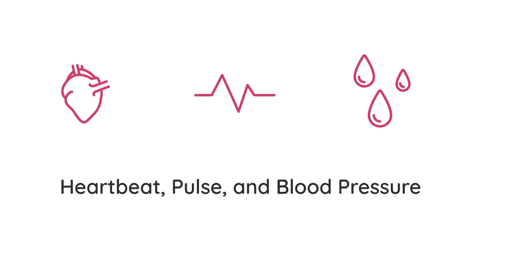 Heartbeat, Pulse, and Blood Pressure Studyclix