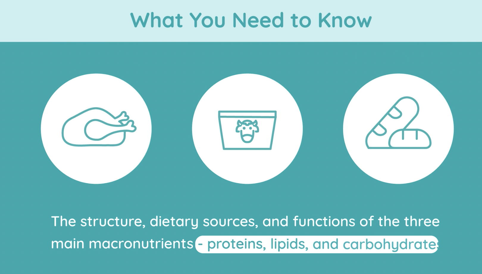 Food and Food Tests | At a Glance | Studyclix