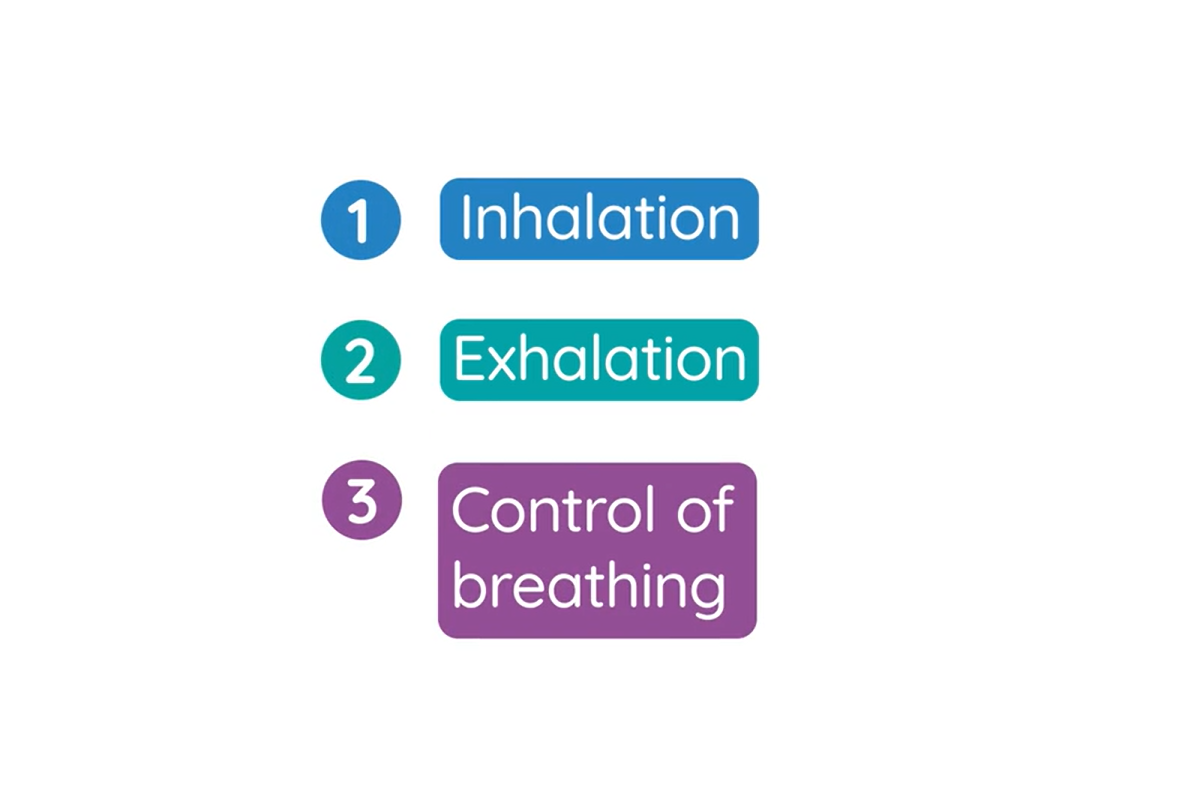 Inhalation, Exhalation, And Control Of Breathing 