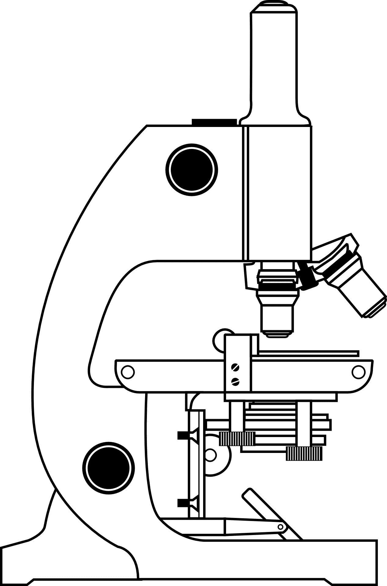 Simple Microscope - Overview, Structure, Properties & Uses