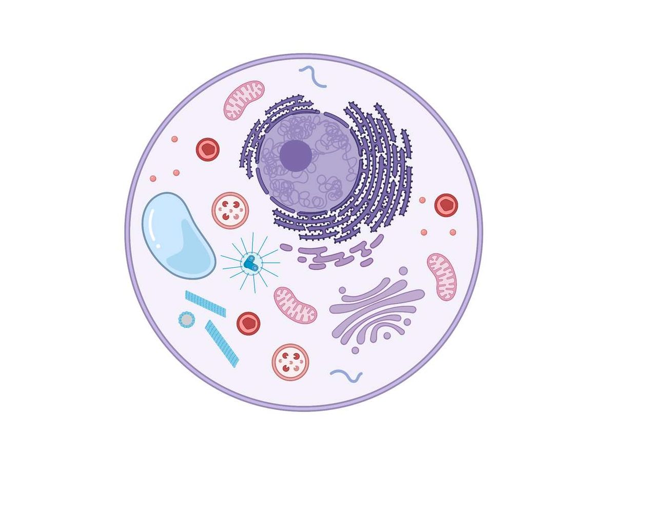 Five-Kingdom System of Classification | Studyclix