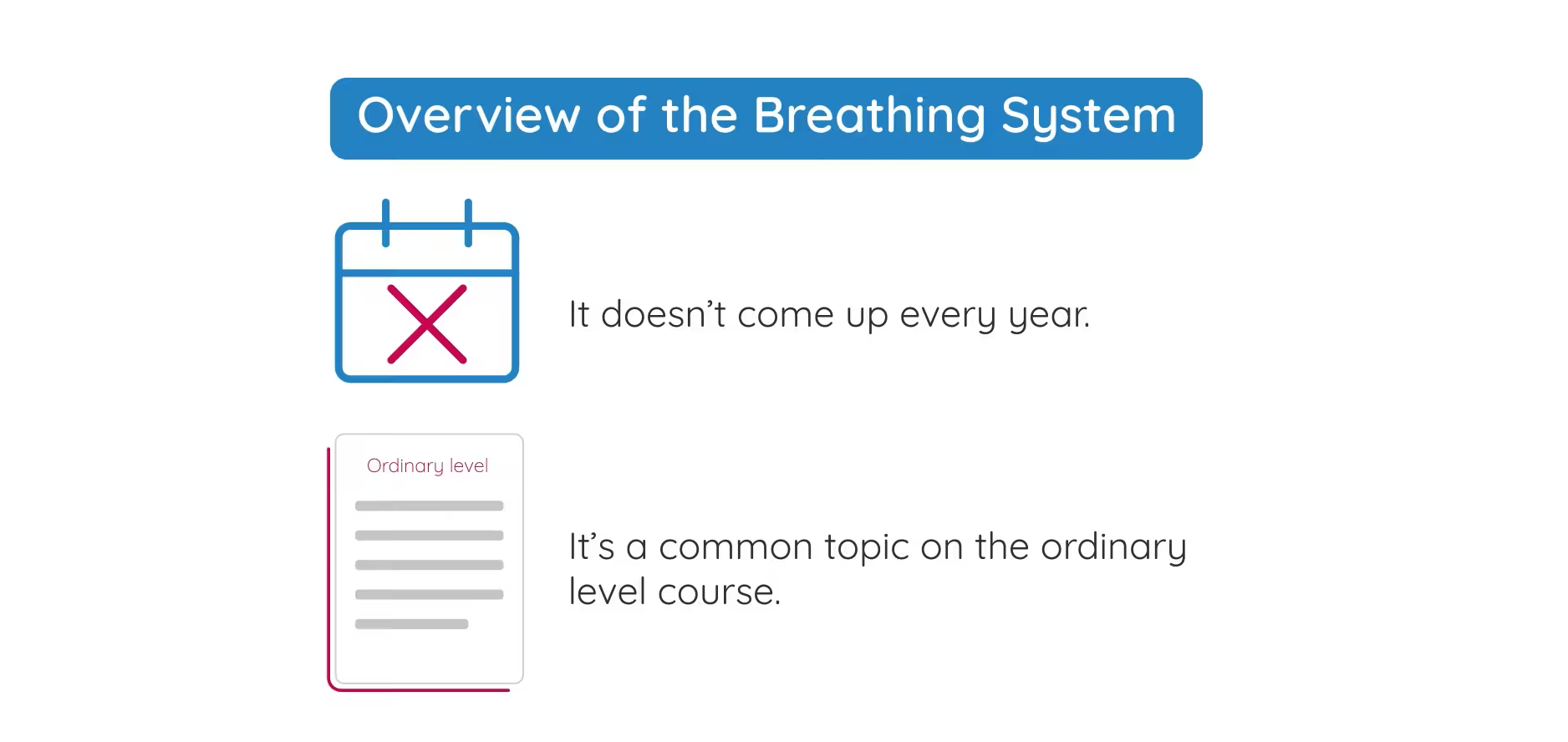 The Breathing System | At a Glance | Studyclix