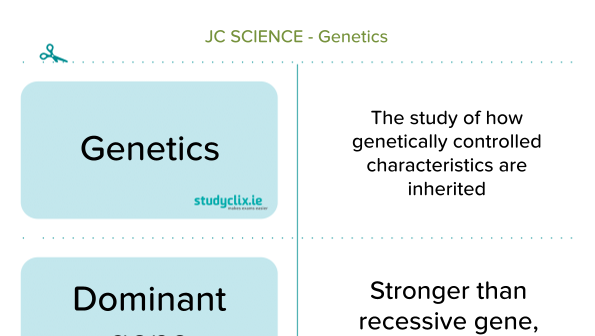 B Genetics | Junior Cycle Science | Studyclix