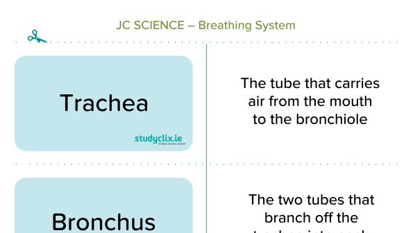 Studyclix | B Breathing System